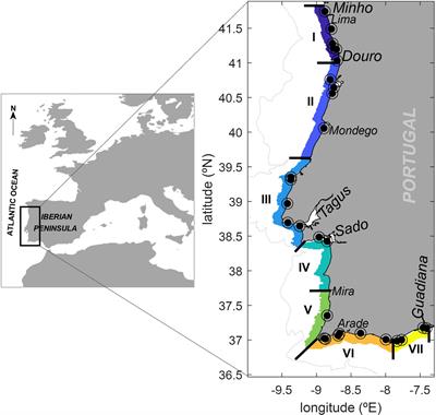 A demographic model to forecast Dinophysis acuminata harmful algal blooms